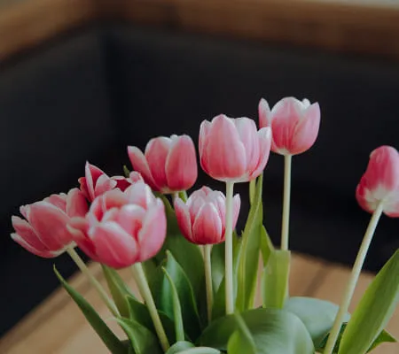 7 - 12_ZIMMER_505_FOTOKARUSSELLMELANIE_RAMONA_HINT